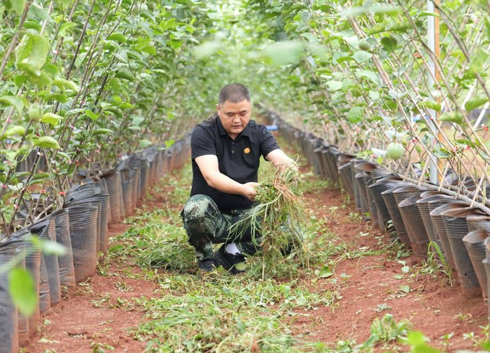 emc易倍：诚合祥高端水果礼品卡：博鳌亚洲论坛2024年年会期间博鳌国宾馆指定水果礼品(图6)